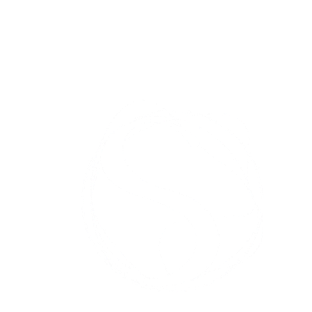 My Website